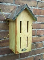 Vlinderkasten